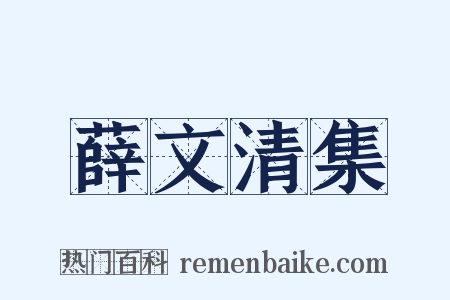 薛文清集是什么意思的图片